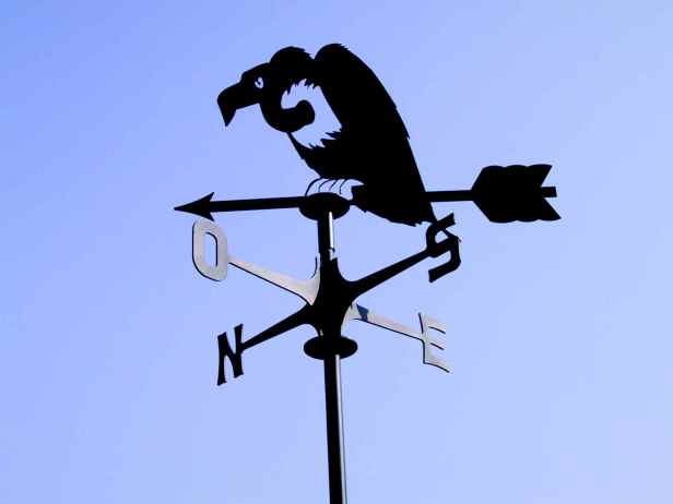 segnavento_avvoltoio