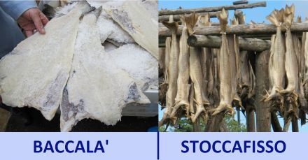 baccalà