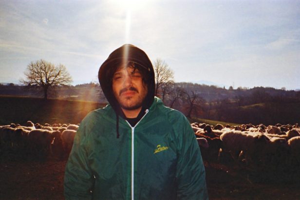 calcutta_evergreen_1-1200x800